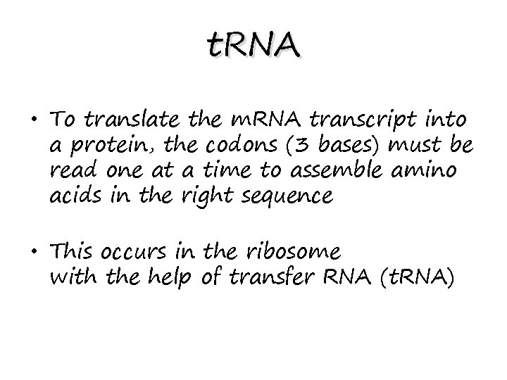 t. RNA • To translate the m. RNA transcript into a protein, the codons