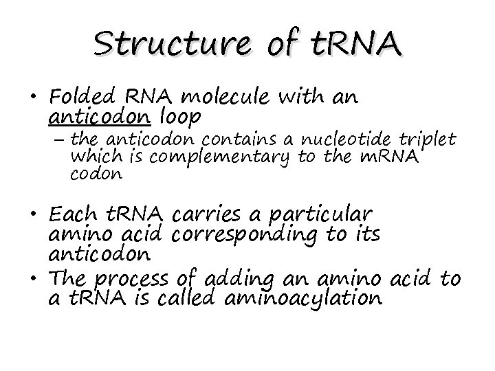 Structure of t. RNA • Folded RNA molecule with an anticodon loop – the