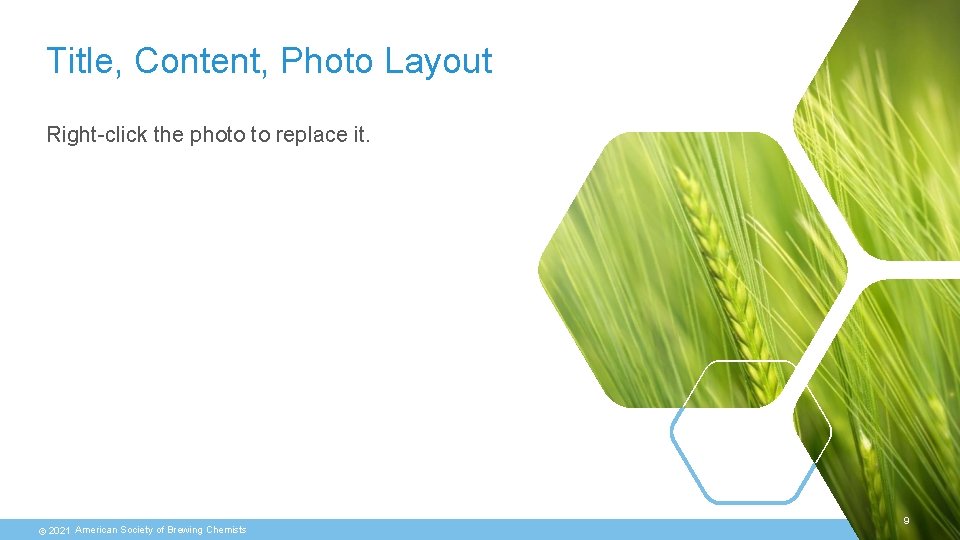 Title, Content, Photo Layout Right-click the photo to replace it. © 2021 American Society