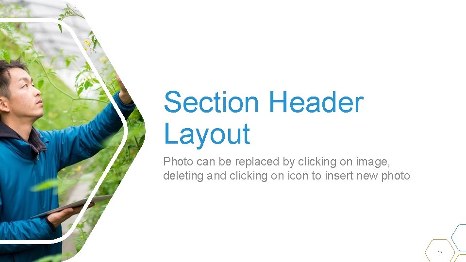 Section Header Layout Photo can be replaced by clicking on image, deleting and clicking