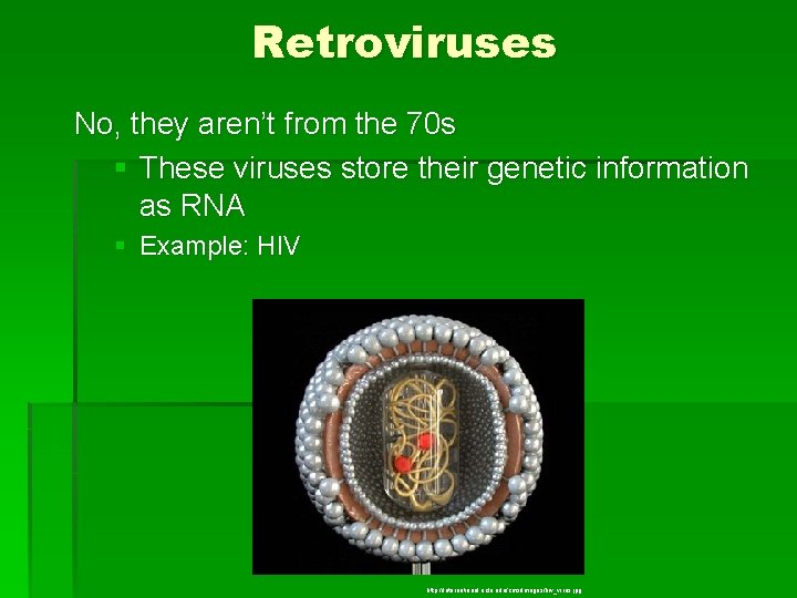 Retroviruses No, they aren’t from the 70 s § These viruses store their genetic