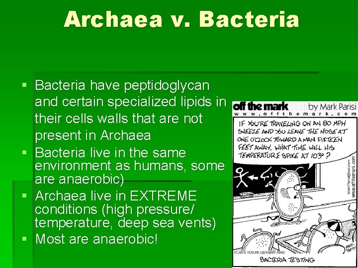 Archaea v. Bacteria § Bacteria have peptidoglycan and certain specialized lipids in their cells