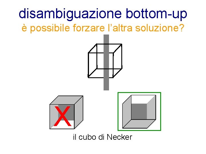 disambiguazione bottom-up è possibile forzare l’altra soluzione? X il cubo di Necker 