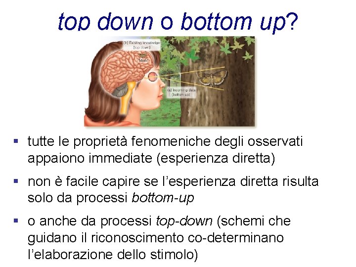 top down o bottom up? § tutte le proprietà fenomeniche degli osservati appaiono immediate