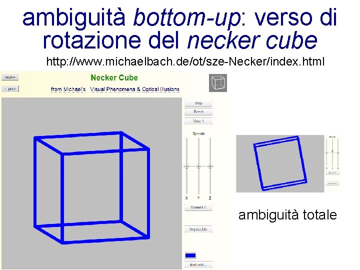 ambiguità bottom-up: verso di rotazione del necker cube http: //www. michaelbach. de/ot/sze-Necker/index. html ambiguità