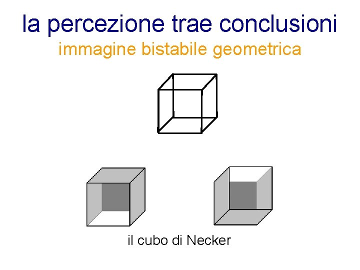 la percezione trae conclusioni immagine bistabile geometrica il cubo di Necker 