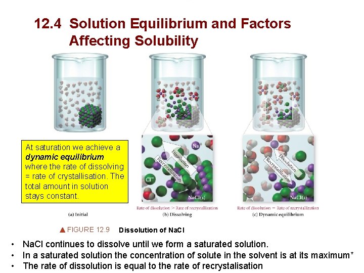 12. 4 Solution Equilibrium and Factors Affecting Solubility At saturation we achieve a dynamic