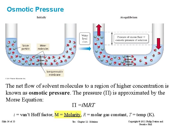 Osmotic Pressure The net flow of solvent molecules to a region of higher concentration