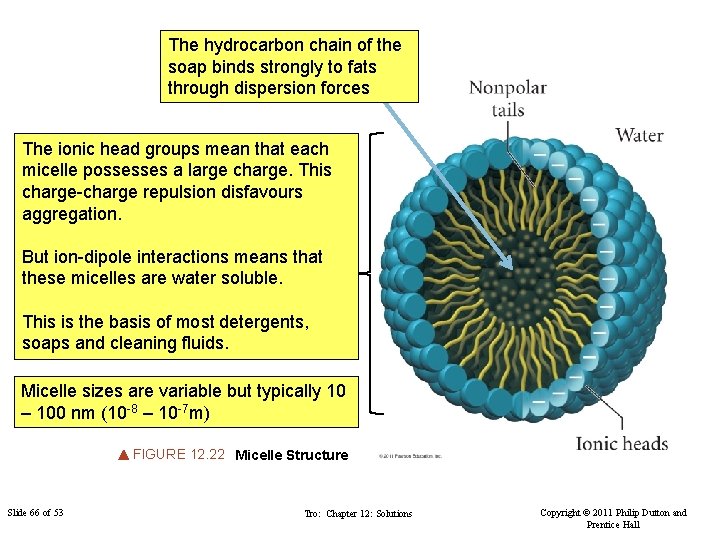 The hydrocarbon chain of the soap binds strongly to fats through dispersion forces The