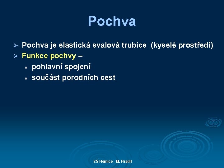 Pochva je elastická svalová trubice (kyselé prostředí) Ø Funkce pochvy – l pohlavní spojení