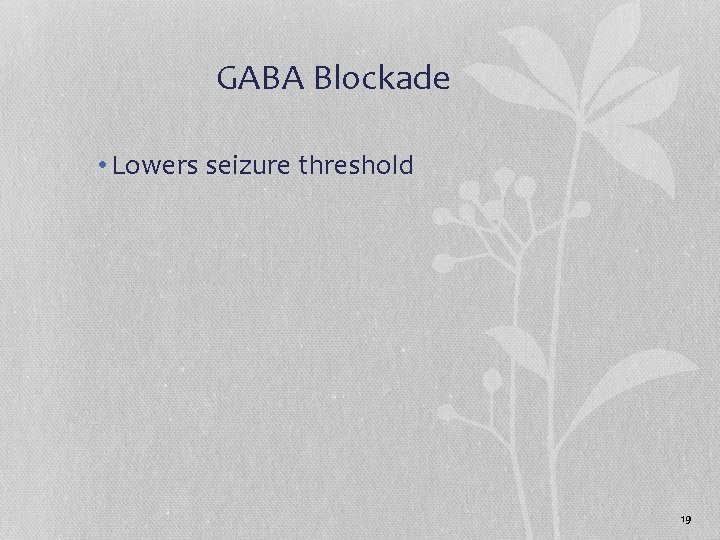 GABA Blockade • Lowers seizure threshold 19 