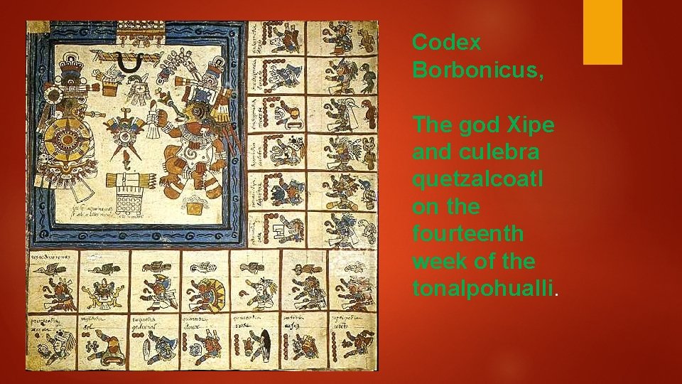 Codex Borbonicus, The god Xipe and culebra quetzalcoatl on the fourteenth week of the