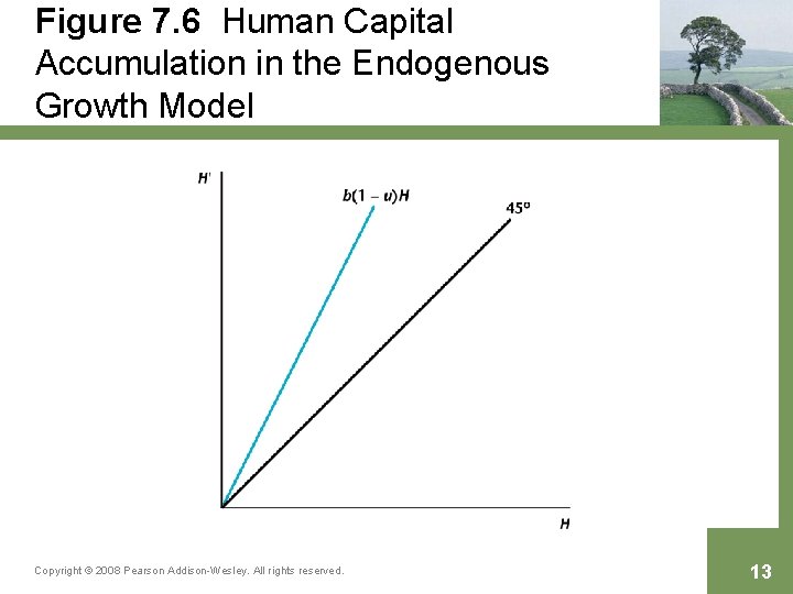 Figure 7. 6 Human Capital Accumulation in the Endogenous Growth Model Copyright © 2008