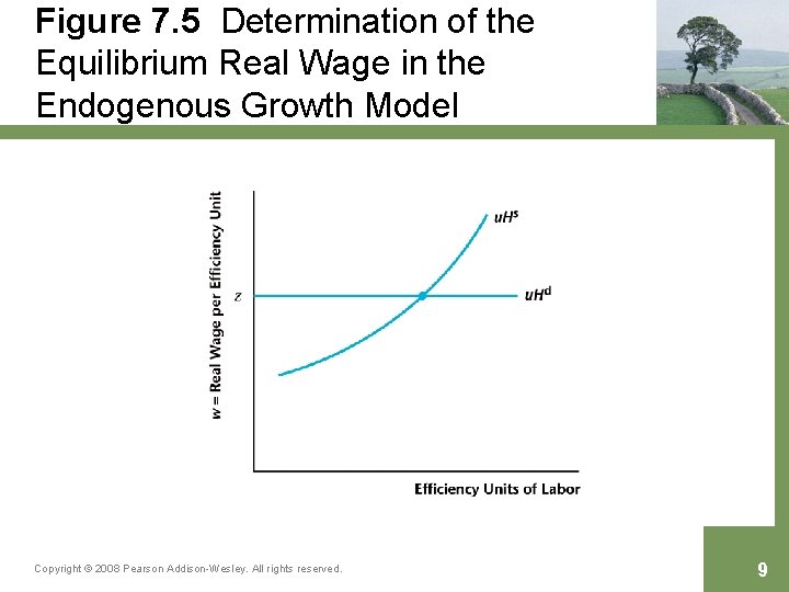 Figure 7. 5 Determination of the Equilibrium Real Wage in the Endogenous Growth Model