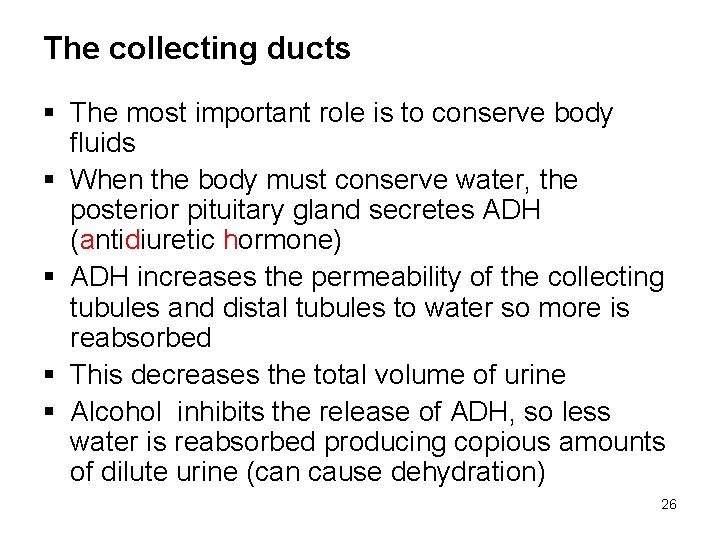 The collecting ducts § The most important role is to conserve body fluids §