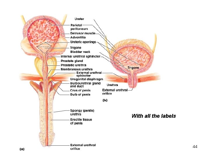 With all the labels 44 