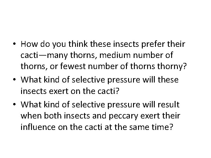 • How do you think these insects prefer their cacti—many thorns, medium number • How do you think these insects prefer their cacti—many thorns, medium number