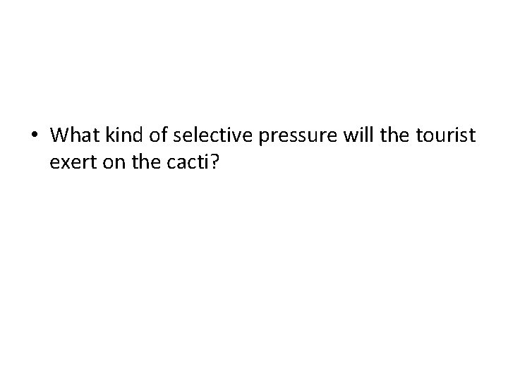 • What kind of selective pressure will the tourist exert on the cacti? • What kind of selective pressure will the tourist exert on the cacti?