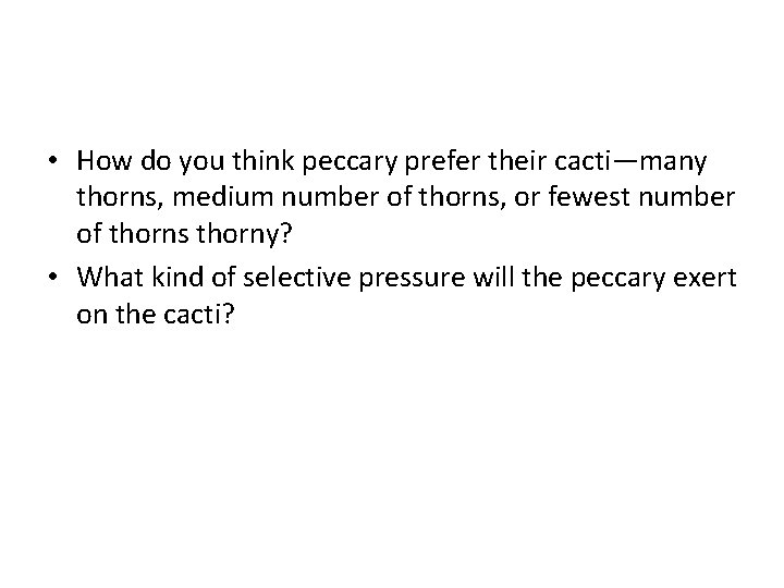 • How do you think peccary prefer their cacti—many thorns, medium number of • How do you think peccary prefer their cacti—many thorns, medium number of