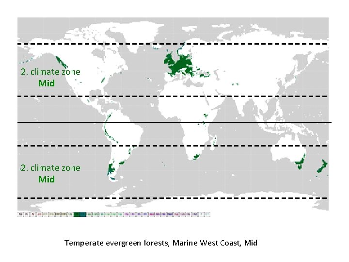 2. climate zone Mid Temperate evergreen forests, Marine West Coast, Mid 