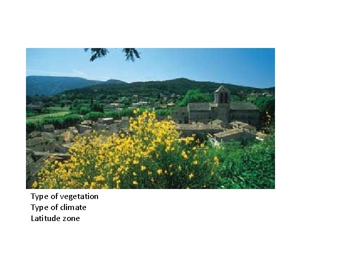 Type of vegetation Type of climate Latitude zone 