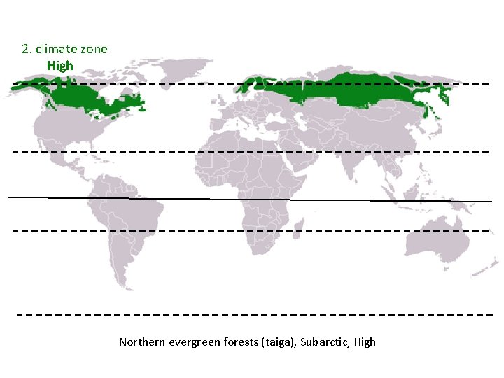 2. climate zone High Northern evergreen forests (taiga), Subarctic, High 