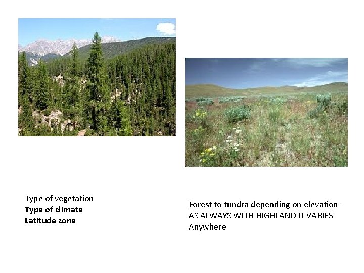 Type of vegetation Type of climate Latitude zone Forest to tundra depending on elevation.