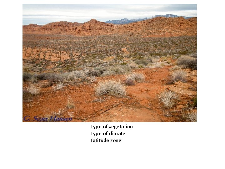 Type of vegetation Type of climate Latitude zone 