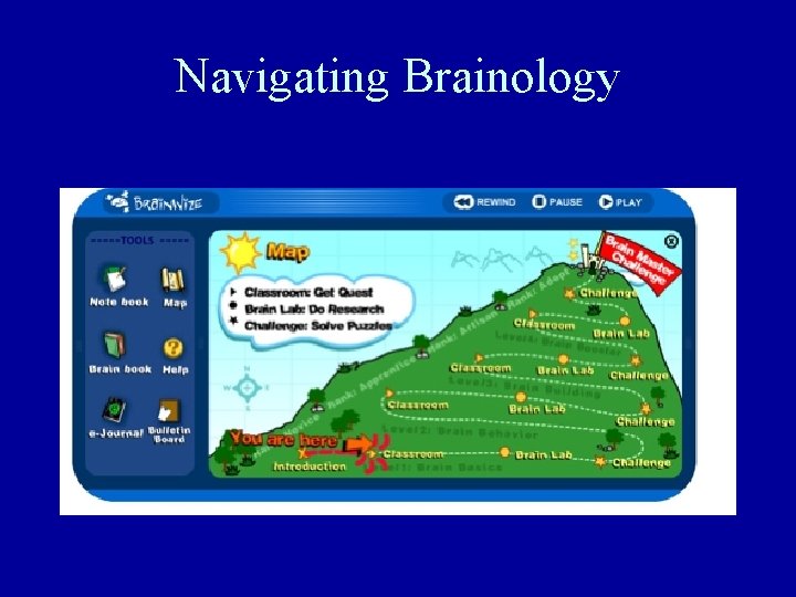 Navigating Brainology 