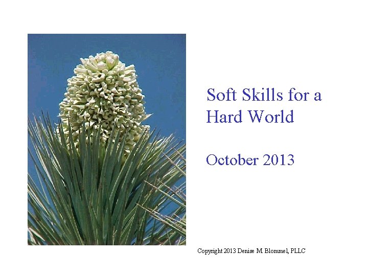 Soft Skills for a Hard World October 2013 Copyright 2013 Denise M. Blommel, PLLC