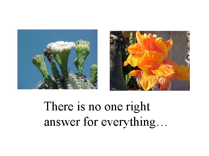 There is no one right answer for everything… 
