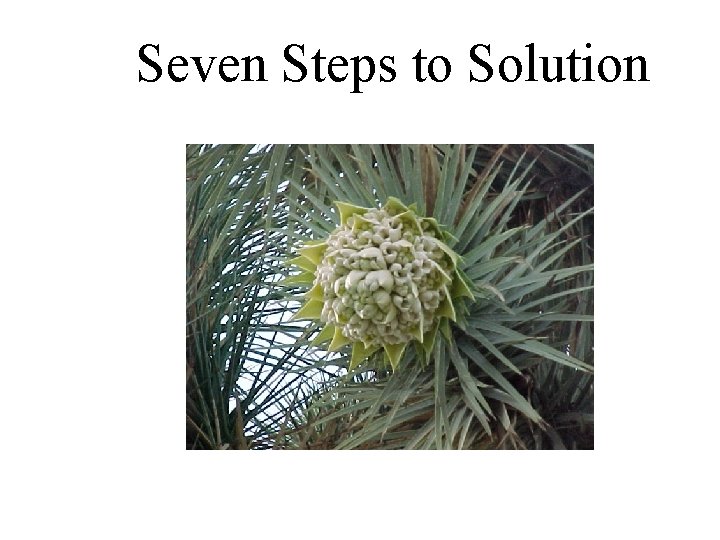 Seven Steps to Solution 