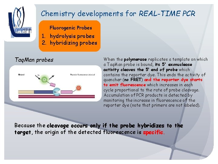 Chemistry developments for REAL-TIME PCR Fluorogenic Probes 1. hydrolysis probes 2. hybridizing probes Taq.