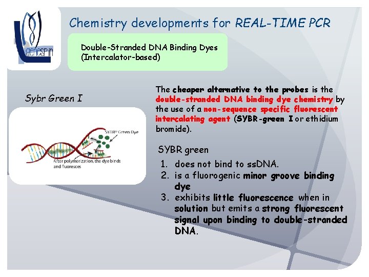 Chemistry developments for REAL-TIME PCR Double-Stranded DNA Binding Dyes (Intercalator-based) Sybr Green I The