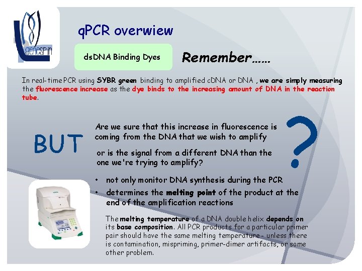 q. PCR overwiew ds. DNA Binding Dyes Remember…… In real-time PCR using SYBR green