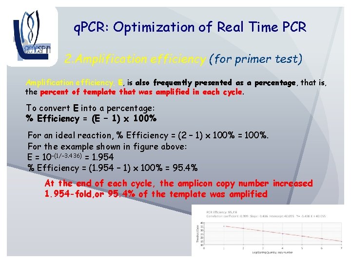 q. PCR: Optimization of Real Time PCR 2. Amplification efficiency (for primer test) Amplification