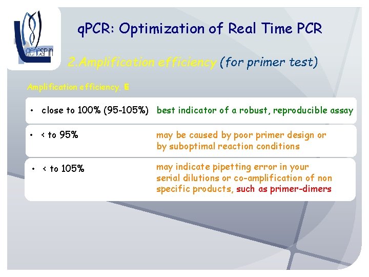 q. PCR: Optimization of Real Time PCR 2. Amplification efficiency (for primer test) Amplification
