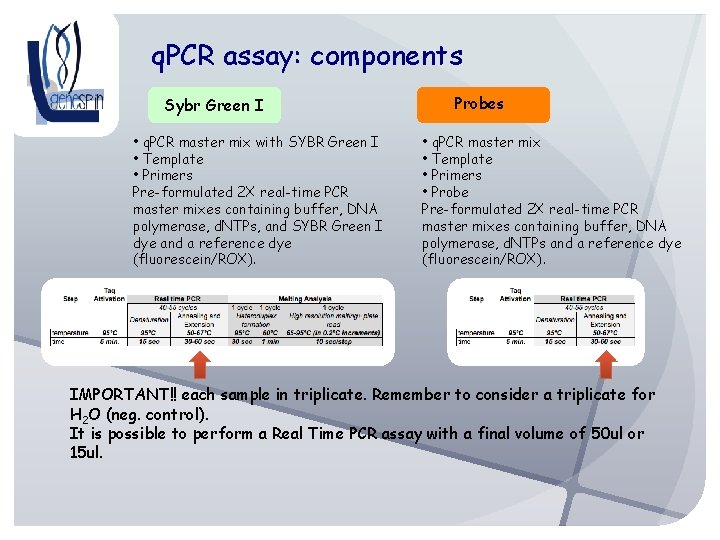 q. PCR assay: components Sybr Green I • q. PCR master mix with SYBR