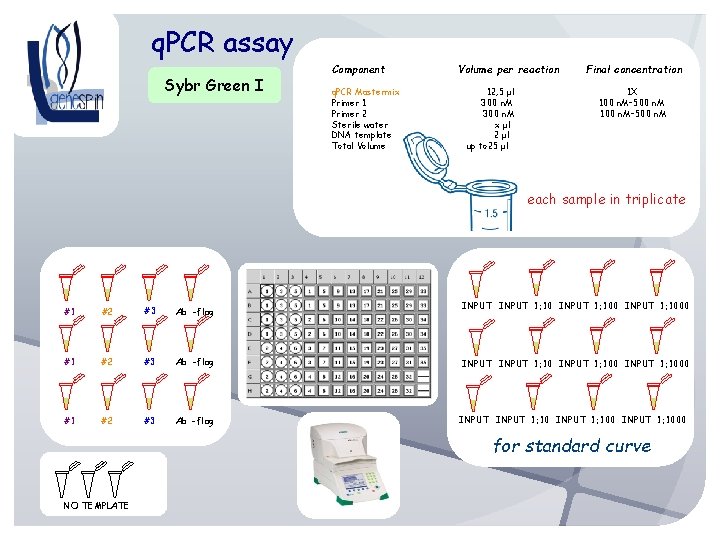 q. PCR assay Sybr Green I Component q. PCR Mastermix Primer 1 Primer 2