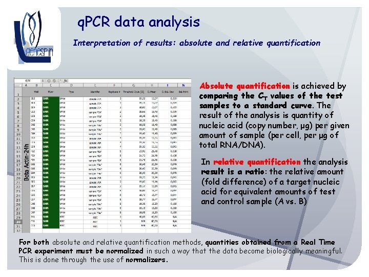 q. PCR data analysis Interpretation of results: absolute and relative quantification Absolute quantification is