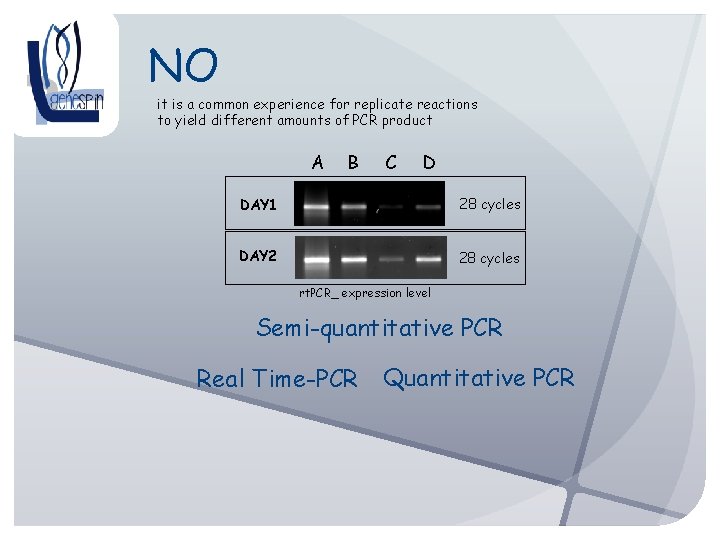 NO it is a common experience for replicate reactions to yield different amounts of