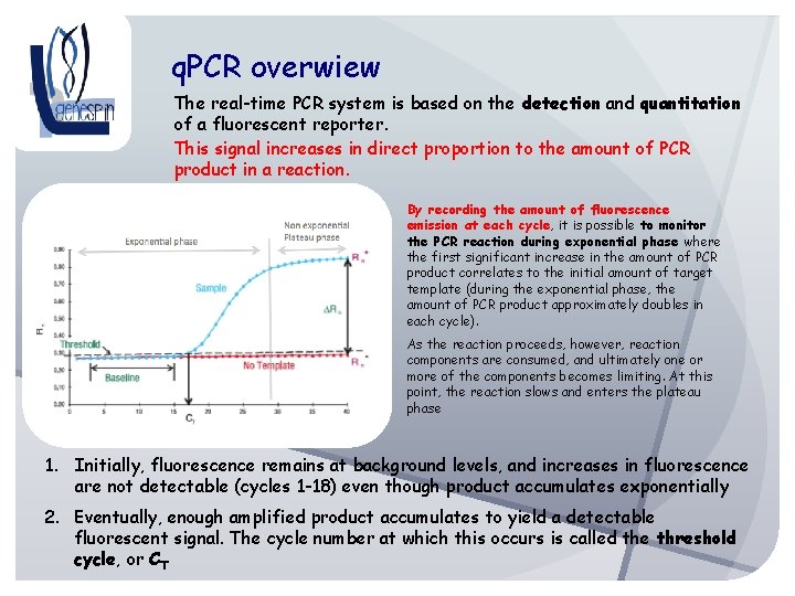 q. PCR overwiew The real-time PCR system is based on the detection and quantitation