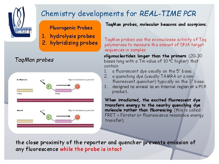 Chemistry developments for REAL-TIME PCR Fluorogenic Probes 1. hydrolysis probes 2. hybridizing probes Taq.