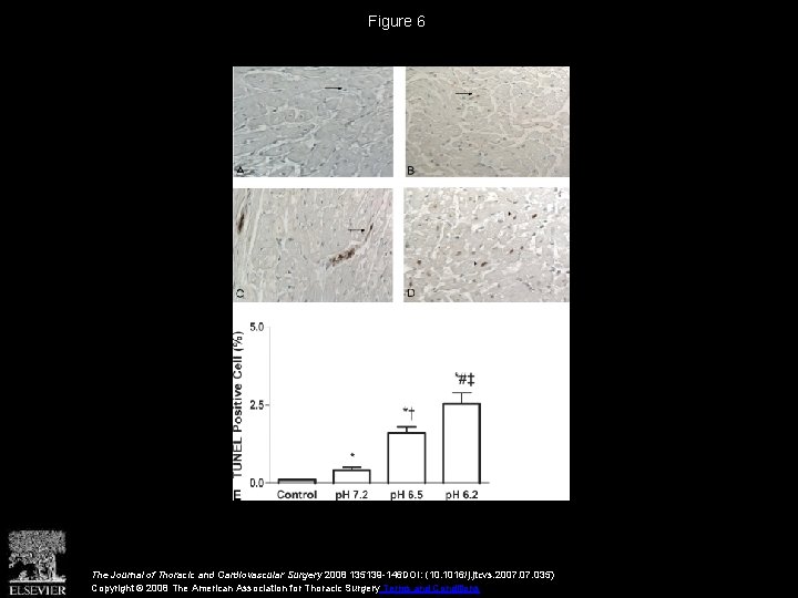 Figure 6 The Journal of Thoracic and Cardiovascular Surgery 2008 135139 -146 DOI: (10.