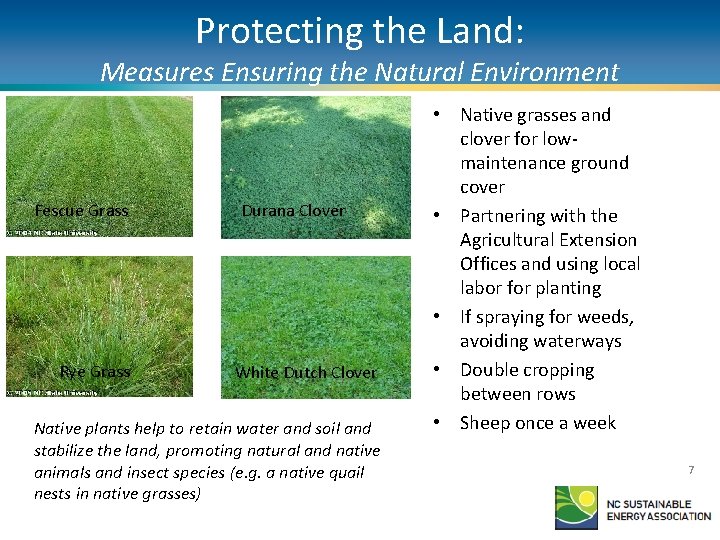 Protecting the Land: Measures Ensuring the Natural Environment Fescue Grass Rye Grass Durana Clover