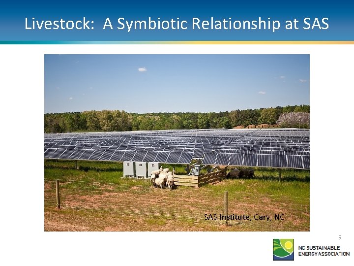 Livestock: A Symbiotic Relationship at SAS Institute, Cary, NC 9 