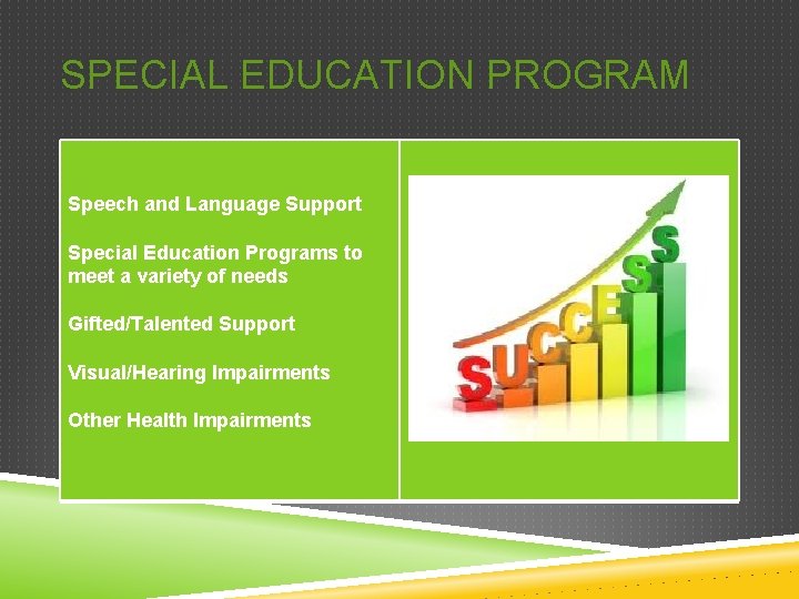 SPECIAL EDUCATION PROGRAM Speech and Language Support Special Education Programs to meet a variety