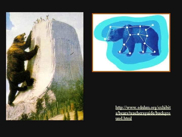 http: //www. sdnhm. org/exhibit s/bears/teachersguide/backgro und. html 