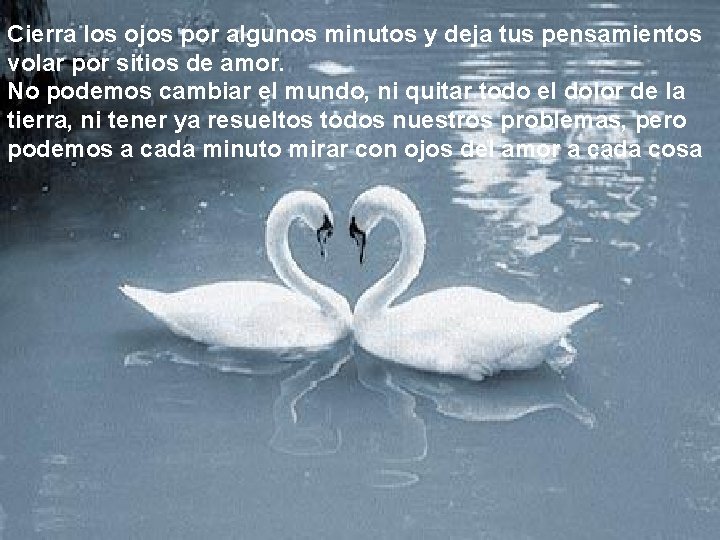 Cierra los ojos por algunos minutos y deja tus pensamientos volar por sitios de