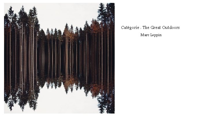 Catégorie : The Great Outdoors Marc Leppin 